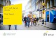 BPFI SME Market Monitor Final Report · 2018-03-09 · BPFI SME Market Monitor Final Report 1 1 This report is produced by EY-DKM. EY-DKM was given editorial independence by Banking