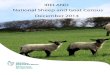 National Sheep and Goat Census...return to sheep farming in the near future. The overall number of flock owners who declared that they had sheep in December 2014 was 34,549 which is
