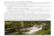 Parque Parque Natural Local Vouga-Caramulo › images › FolhasInformativas › ... · Parque Natural Local Vouga-Caramulo Por iniciativa da Câmara Municipal de Vouzela foi criado