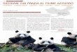 SICHUAN: DAI PANDA AL FIUME AZZURRO - UTAT VIAGGI · 2019-01-30 · tutela e la cura del Panda Gigante e ne ospita numerosi esemplari. Pranzo in ristorante loca - le. Nel pomeriggio