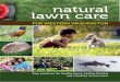 lawn care - Home - Tacoma Public Utilities › wp-content › uploads › lawn-care-june.pdf · 2020-01-06 · easy-care lawn: Why go natural? Overuse of lawn pesticides and fertilizers