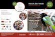 Kakadu Bird Week - Parks Australia · Traditional bush tucker cook up Bowali Visitor Centre FREE Jabiru region 1.00 - 2.00 pm Birds and fire story Dr Colin Trainor Bowali Visitor