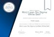 Metric of Urgency MoU Lean Six Sigma White Belt · MoU Lean Six Sigma Certified White Belt+ Metric of Urgency MoU Lean Six Sigma White Belt+ DATE CERTIFICATE NUMBER Todd Leyse May