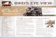 Owls! In this issue - All Seasons Wild Bird Store · 2020-04-15 · Barred Owls are common in eastern Minnesota. They are smaller than Great Horned Owls and lack “ear” tufts
