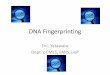 DNA Fingerprinting - Open University of Sri Lanka › apps › downloads › downloadfile › dna...DNA Fingerprint Basics •Different individuals carry different alleles. •Most