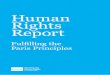 Human Rights Report › sites › default › files › paris_principles.pdfUnited Nations: Human Rights Council 29 European Court of Human Rights (ECtHR) 30 ... promoting human rights