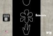 Ecocrete - Artwalk Tile › files › qHhUU9 › iris_usa_ecocrete_broc… · IRIS US RESULTS COLORED BODY Data taken from a representative colored body collection. Individual product