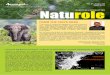 A Society for Biodiversity Conservation in Northeast India ... Range of Manas National Park(MNP) and Kohora river basin of Kaziranga-Karbi Anglong landscape (KKL) and interacted with