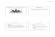 EIRMC ISHP Marijuana Use and Mental Illness powerpoint (2013) · Medicinal marijuana has gained significant attention recently Currently legalized in 18 states and the District of