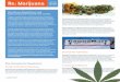 Marijuana Regulation and Enforcement Priorities for Cities · 2020-05-18 · Delivery Services Banning or limiting delivery services: Marijuana delivery services have been found to