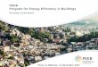 PEEB Program for Energy Efficiency in Buildings...2017/11/12  · University of La Réunion Island (Indian Ocean) PEEB - Developing Financial Tools Type of finance resources channelled