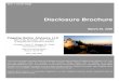 Disclosure Brochure Brochure Fla… · to provide discretionary investment advisory services on a wrap or non-wrap fee basis. (See discussion below). If a client determines to engage