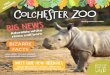 BIZARRE FACTS - Colchester Zoo · our animal care team! BIZARRE FACTS Meet our NEW arrivals Read about the various different species that have arrived at the Zoo! 17 3 A Letter from