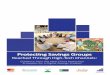 Protecting Savings Groups - Mango Tree...Protecting Savings Groups Reached Through High-Tech Channels: February 2018 - UNCDF MicroLead Partner Case Study Series. 2 UNCDF MicroLead