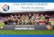 GNK DINAMO ZAGREB Youth Academy ZAGREB... · U8 - U11 U12 U13 U14 U15 U16 - U18 U19 - U21 Development of Forming thebasic technique TE-TA knowledge and understanding the game 