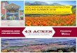 43 Acres Presented by: USE LAND OFFERING...| 3 | LAKE ELSINORE, CALIFORNIA 43 Acres total Asking price For all 43.5 Acres $12,635,00 ($6.73 SF) Seller will consider selling ±10 Acre