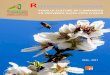 REFERENTIEL TECHNIQUE › fileadmin › user... · 2018-01-18 · 5 Référentiel technique pour la cultue de l’amand ier en Provence-Alpes- ôte d’Azu 2016-2017 1. LES CONDITIONS