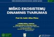MIŠKO EKOSISTEMŲ - LAMMC SAVOKOS_ed 49.pdf · augavietės augalų kompleksas su charakteringa sandara bei sudėtimi, kurią sąlygoja visų augavietės organizmų tarpusavio santykiai