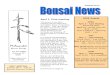 4 April 2012 - MilwaukeeBonsai · o Bonsai History o Bonsai Tools o Bonsai Terms o Bonsai Styles o Bonsai Horticulture o Declaration of tree selection for the forth session • Session