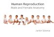 Human Reproduction - Weebly€¦ · Human Reproduction Male and Female Anatomy Junior Science. Lesson Objectives •Use illustrative diagrams to identify and locate the main parts