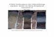 Field Indicators for Identifying Hydric Soils in New ...neiwpcc.org/wp-content/uploads/2018/02/Field... · a final product. Practical application, experience and continuing academic