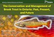 and Forestry The Conservation and Management of Brook ... · Jacquelyn Wood, Ph.D. Latornell Conservation Symposium . Nottawasaga Inn, Alliston ON . November 21. st-23. rd, 2017 