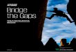 Bridge the Gaps€¦ · performance and bridge the information gap between investors and management. With regulation looming on the horizon, many listed companies will need to think