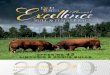 43 LIMOUSIN & ANGUS BULLS 2020 - Excel Ranches · Gold FP in the fall. Breeding females are given Bovi-Shield Gold FP pre-breeding, Covex- ... BW 2.0 CEM 7.2 DOC N/A WW 47 ... •