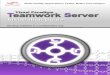 Teamwork Server Installation Guidediscipline.elcom.pub.ro/isc/docs/VisualParadigm_VP/more/vpts... · Teamwork Server Installation Guide 0-3 Teamwork Server 3.0 Installation Guide