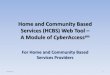 Home and Community Based Services (HCBS)Web Tool TrainingHCBS Web Tool Access for HCBS Providers To gain access to CyberAccesssm including the HCBS module it is that HCBS providers