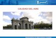CALIDAD DEL AIRE - ANAVAManavam.com/docs/foroXII-ponencia-movilidad... · Área de Gobierno de Medio Ambiente y Movilidad La calidad del aire en la ciudad de Madrid en el año 2013
