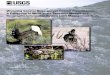Wyoming Greater Sage-grouse Habitat Prioritization: A ...of model predictors (in the form of geographic information system data) produced by analyses, and the variety of poten-tial
