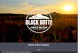 Black Butte Copper...Black Butte Copper –The Johnny Lee DepositTotals 11.6 million tonnes at 3.6% copper Black Butte Copper is one of the highest grade copper deposit being developed