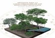 MÉTODOS PARA LA CARACTERIZACIÓN DE LOS MANGLARES … › wp-content › uploads › 2018 › 05 › ... · métodos de estudio de los manglares, y por otra, de uniformar el registro