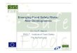 Emerging Food Safety Risks: New Developments...emerging food safety risks, case studies have been performed on recent food safety incidents. Examples (from different projects): Use