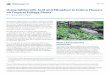 Using Gibberellic Acid and Ethephon to Induce Flowers on Tropical …edis.ifas.ufl.edu › pdffiles › EP › EP44700.pdf · 2018-01-23 · Using Gibberellic Acid and Ethephon to
