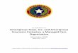 An Audit Report on Amerigroup Texas, Inc. and Amerigroup ... · An Audit Report on Amerigroup Texas, Inc. and Amerigroup Insurance Company, a Managed Care Organization SAO Report