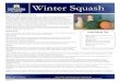 Winter Squash - Nutrition Education Department · 2018-08-22 · Grate or cube squash. Heat pan to high, add bu ©er or oil to coat bo ©om of pan and add squash. Sauté 15 ‐25