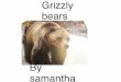 Grizzly bears - lincnet.org · Grizzly bears have furious features.Grizzly bears use their claws to dig up roots like plant roots. Grizzly bears have a hump where they store there