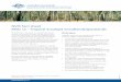 NVIS Fact sheet MVG 12 – Tropical eucalypt woodlands ... · Second Edition. Science Division, Department of Parks and Wildlife, Western Australia Brock J (2001) Native Plants of