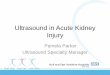 Ultrasound in Acute Kidney Injury - BMUS › ... › Ultrasound_in_Acute_Kidney_Injury.pdf · organ failure, oliguria, hypotension, number of transfusions and acute on chronic renal