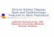 Chronic Kidney Disease; Basic and Epidemiologic ... terminology, such as “chronic renal failure,” “chronic renal insufficiency,” “pre-dialysis,” and “pre-end-stage renal
