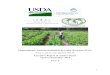 Mejoramiento Agrícola Sostenible de Frijol (Proyecto MAS) · 2017-11-20 · Mejoramiento Agricola Sostenible (MAS), under TechnoServe’s leadership, from April to September 2014