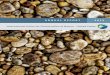 ANNUAL REPORT 2015 International Union for Conservation of ... - IUCN …iucnus.org/wp-content/uploads/2017/05/2015-Annual-Report-IUCN-U… · As IUCN and its Members prepare for