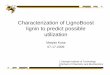 Characterization of LignoBoost lignin to predict possible ...biorefinery.utk.edu/ciber/Kosa Lignin-SCO.pdfMatyas Kosa 07-17-2009 Georgia Institute of Technology School of Chemistry