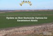 Update on New Herbicide Options for Established …Update on New Herbicide Options for Established Alfalfa Mick Canevari UCCE Emeritus Premium Good Fair $180/Ton= $150/Ton= $100/Ton=