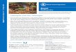 Nepal: Earthquake › sites › reliefweb.int › files › resources...earthquake struck Nepal on 25 April, WFP was gearing up its response. The Government of Nepal requested WFP
