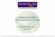 THE MANCHESTER MUSEUM - UK Sponsorship · 2010-11-02 · THE MANCHESTER MUSEUM Welook forward to providingany further details you may require. You may contact Allegra Ferreira at