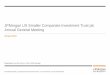 JPMorgan US Smaller Companies Investment Trust plc Annual ... · Patrick Industries manufacturers building products and materials for the recreational vehicle (RV) and manufactured