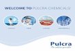 WELCOME TO PULCRA CHEMICALS! › sites › default › files › pdf › Pulcra...leather goods. A timeless combination: high quality leather and ex-clusive fur articles and Pulcra